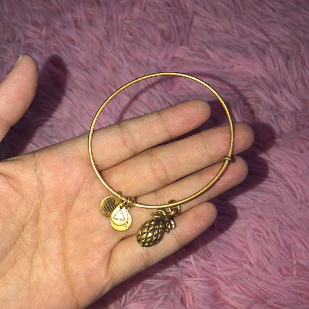 pineapple alex and ani